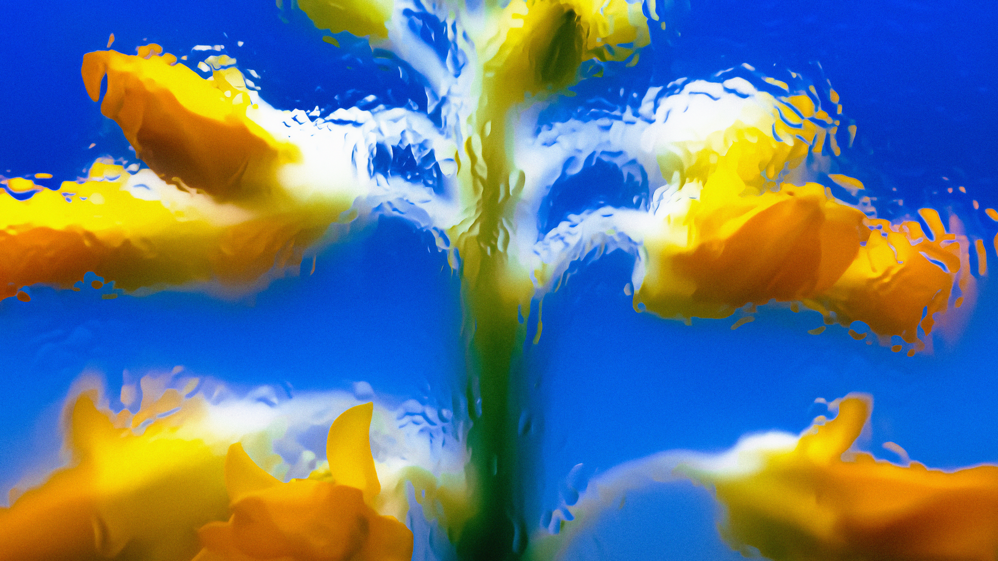 Blog Post Featured Image